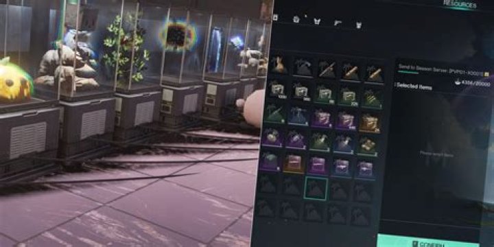 How Do You Transfer Items
