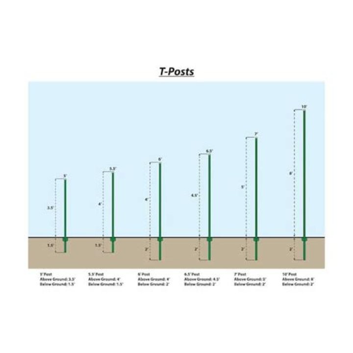 Rich Post Height Weight Net